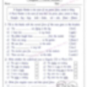 Class 1 English Grammar Worksheet: Singular and Plural - page 1 preview