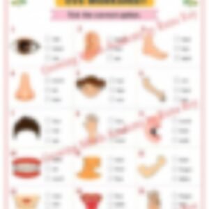 Class 1 EVS Worksheet: Body Parts - page 1 preview