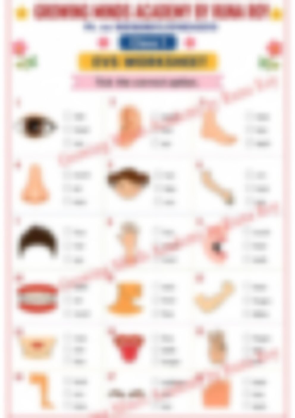 Class 1 EVS Worksheet: Body Parts - page 1 preview