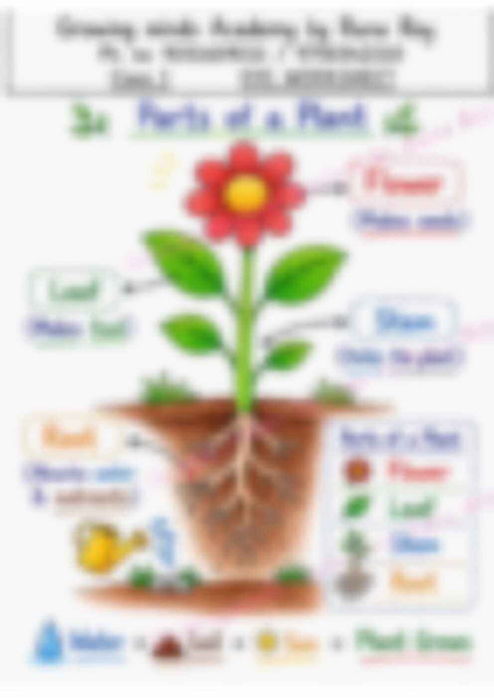 Class 1 EVS Worksheet: Plant - page 1 preview