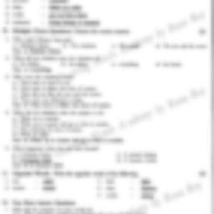 Class 3 English Literature Worksheet: Day for Night in Ultapur - page 1 preview