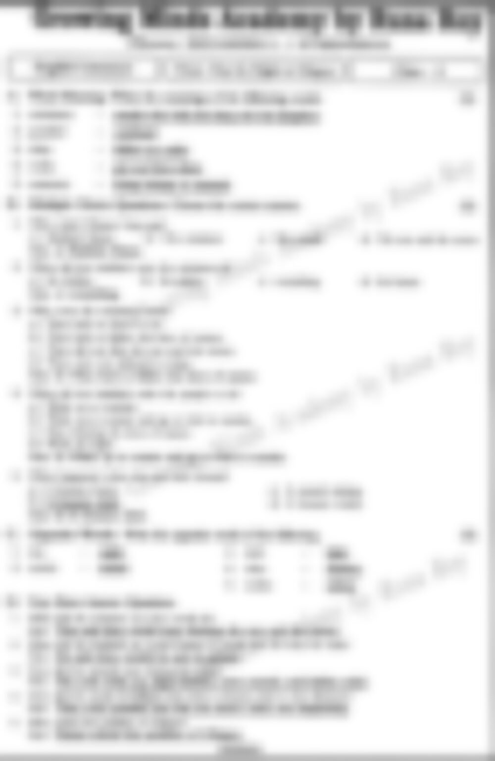 Class 3 English Literature Worksheet: Day for Night in Ultapur - page 1 preview