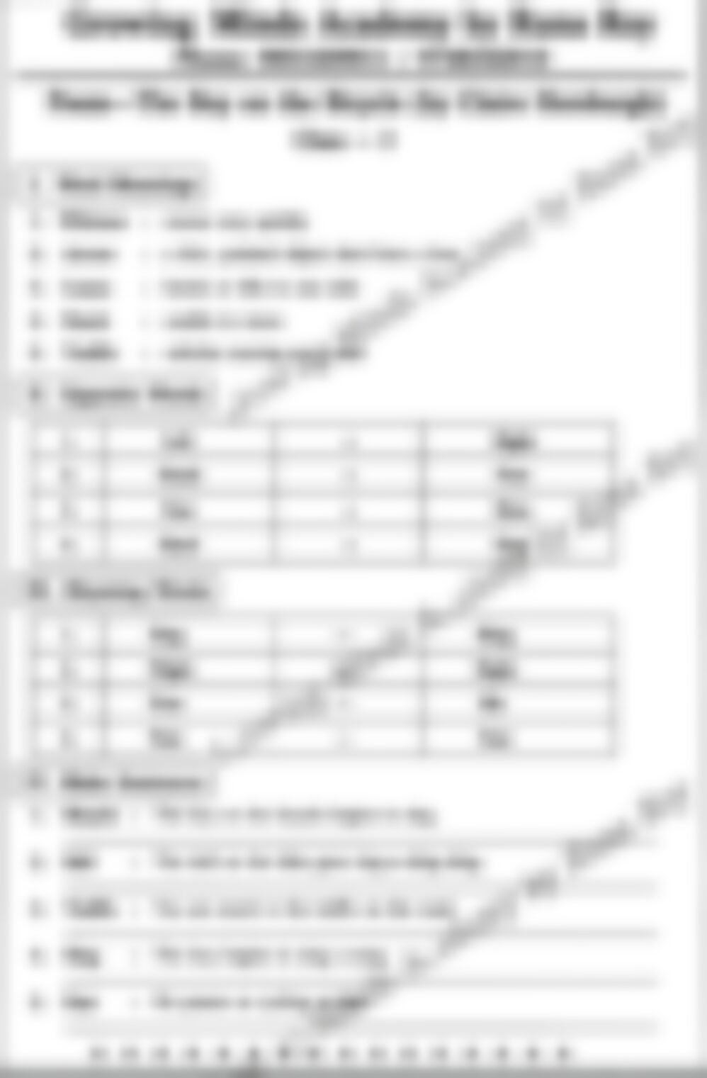 Class 3 English Literature Worksheet: The Boy on the Bicycle - page 1 preview