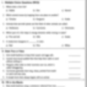 Class 3 EVS Worksheet: (animal - Homes, Movement, Feeding Habits) - page 1 preview