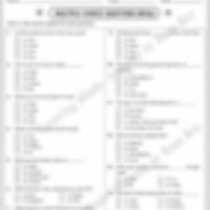 Class 3 EVS Worksheet: Birds - Our Feathered Friends - page 1 preview