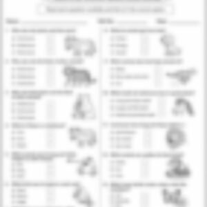 Class 3 EVS Worksheet: How Do Animals Eat (Set 2) - page 1 preview