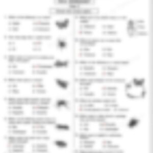 Class 3 EVS Worksheet: Insects (Set 1) - page 1 preview