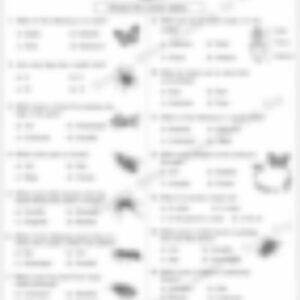 Class 3 EVS Worksheet: Insects (Set 2) - page 1 preview