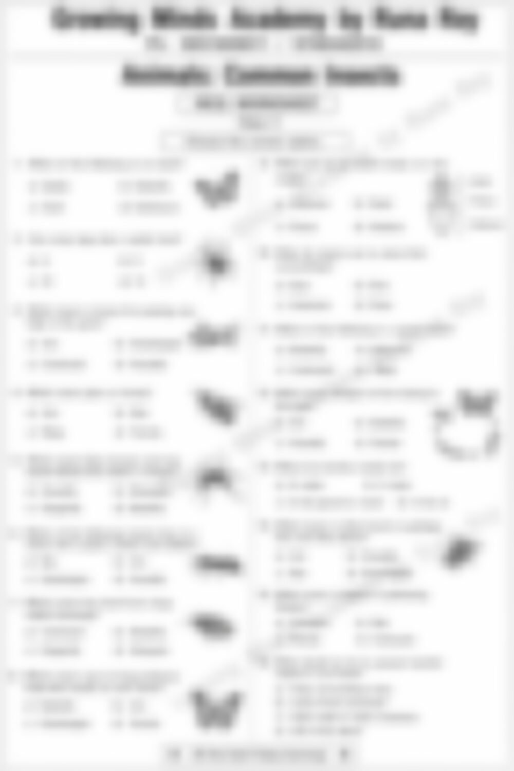 Class 3 EVS Worksheet: Insects (Set 2) - page 1 preview