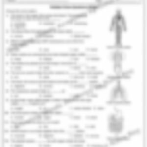 Class 3 EVS Worksheet: Our Body - page 1 preview
