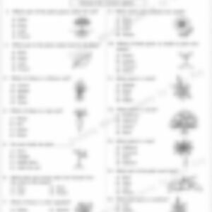 Class 3 EVS Worksheet: Plants in the Surroundings - page 1 preview