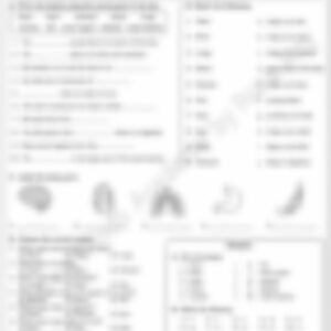 Class 3 EVS Worksheet: The Human Body (Set 2) - page 1 preview