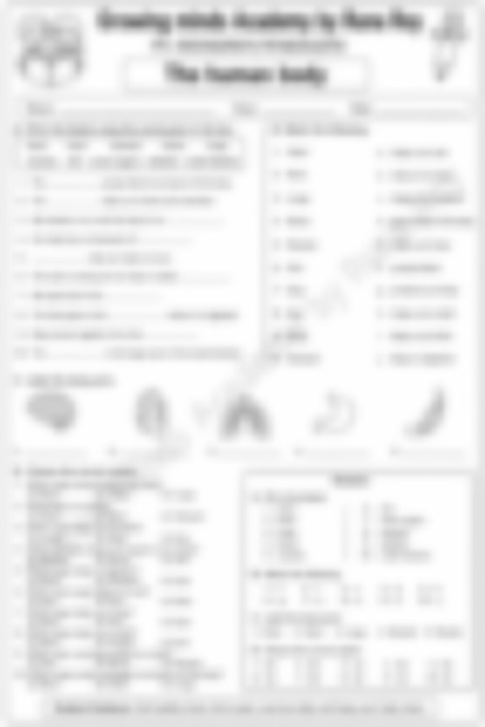 Class 3 EVS Worksheet: The Human Body (Set 2) - page 1 preview