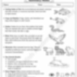 Class 3 EVS Worksheet: The Animal - page 1 preview