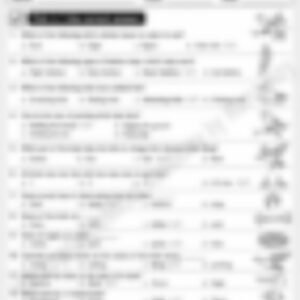 Class 3 EVS Worksheet: The Birds - page 1 preview