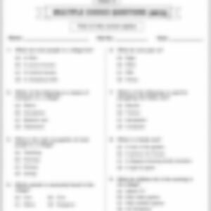 Class 3 SST Worksheet: Village Life - page 1 preview
