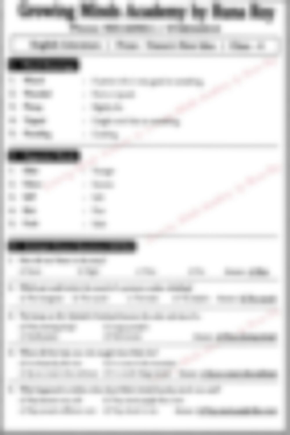 Class 4 English Literature Worksheet: Veena's New Idea - page 1 preview