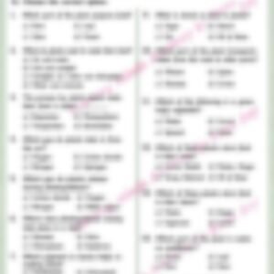 Class 4 Science Worksheet: Plants and It's Food - page 1 preview