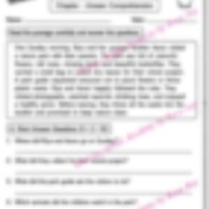 Class 5 English Grammar Worksheet: Unseen Comprehension - page 1 preview
