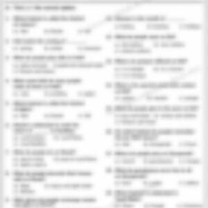 Class 2 EVS Worksheet: Festivals are Fun - page 1 preview