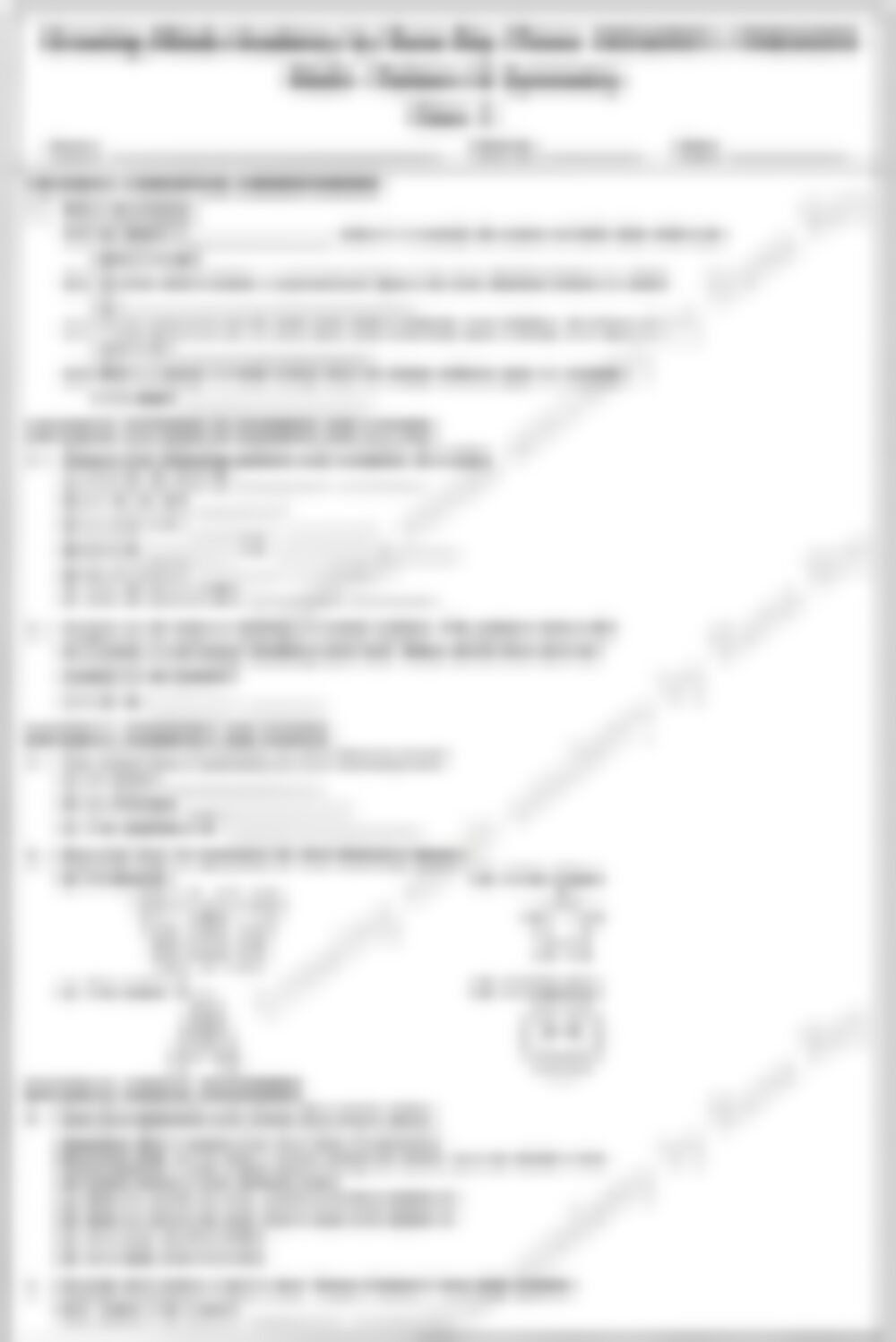 Class 3 Math Worksheet: Pattern and Symmetry - page 1 preview
