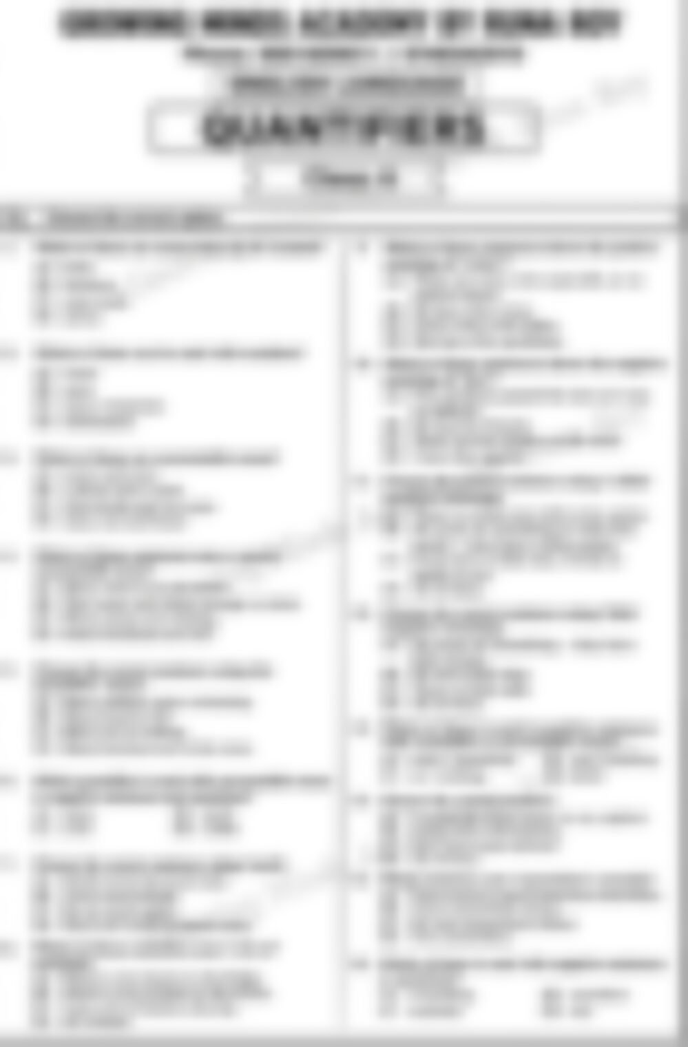 Class 6 English Grammar Worksheet: Quantifiers - page 1 preview